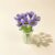 Lavender Dream
